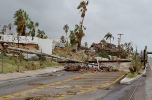 Landscape destroyed by hurricane