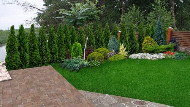 Design of backyard with privacy shrubs creating a landscape privacy screen