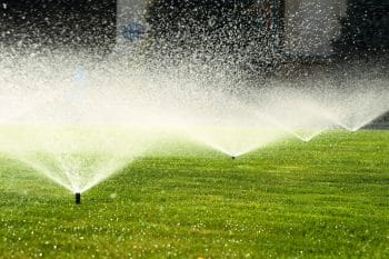 sprinklers watering the lawn