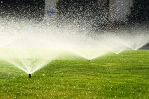 Summer Irrigation Practices