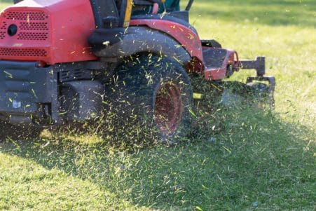 Mowing Your Lawn: How Often Should You Do It?