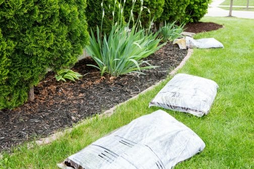 5 Ways to Prepare your Landscape for Colder Weather